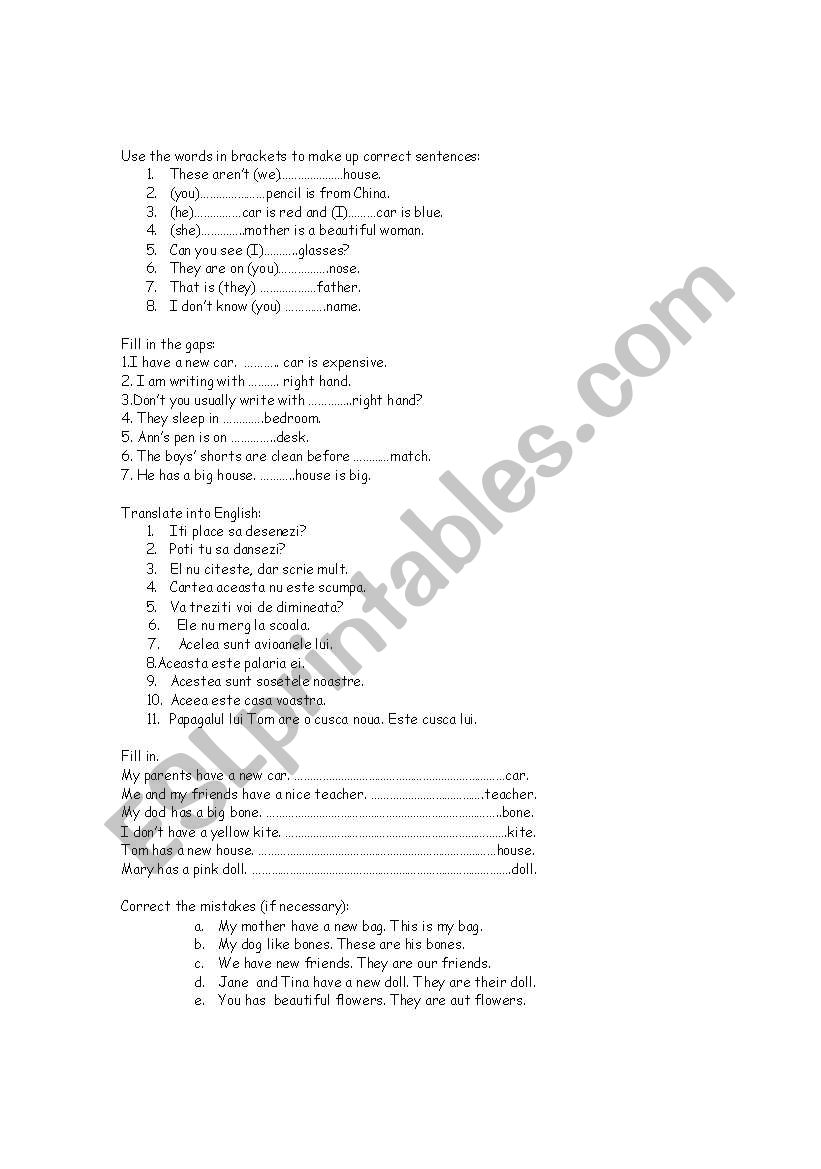 simple present worksheet