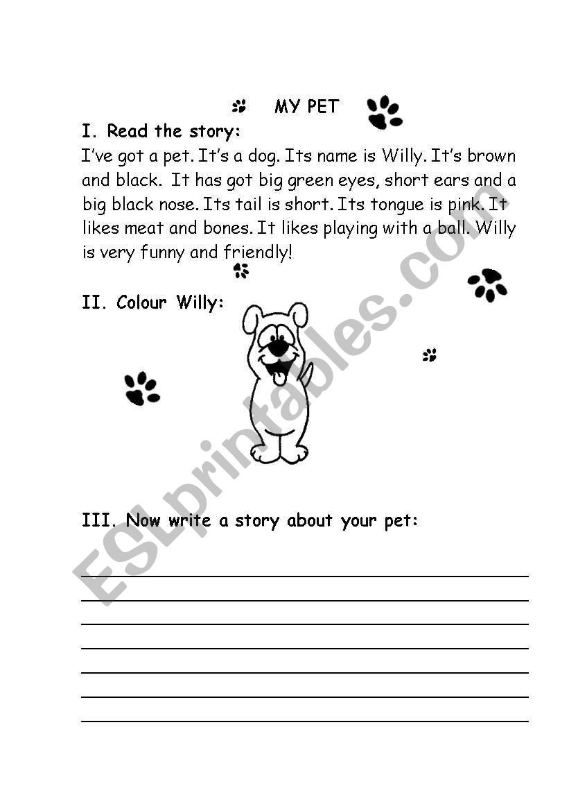 My pet worksheet