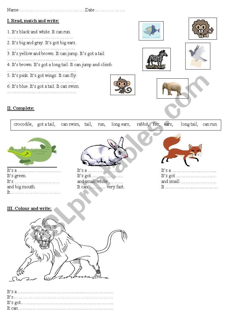 Test: to revise names  and descriptions of animals