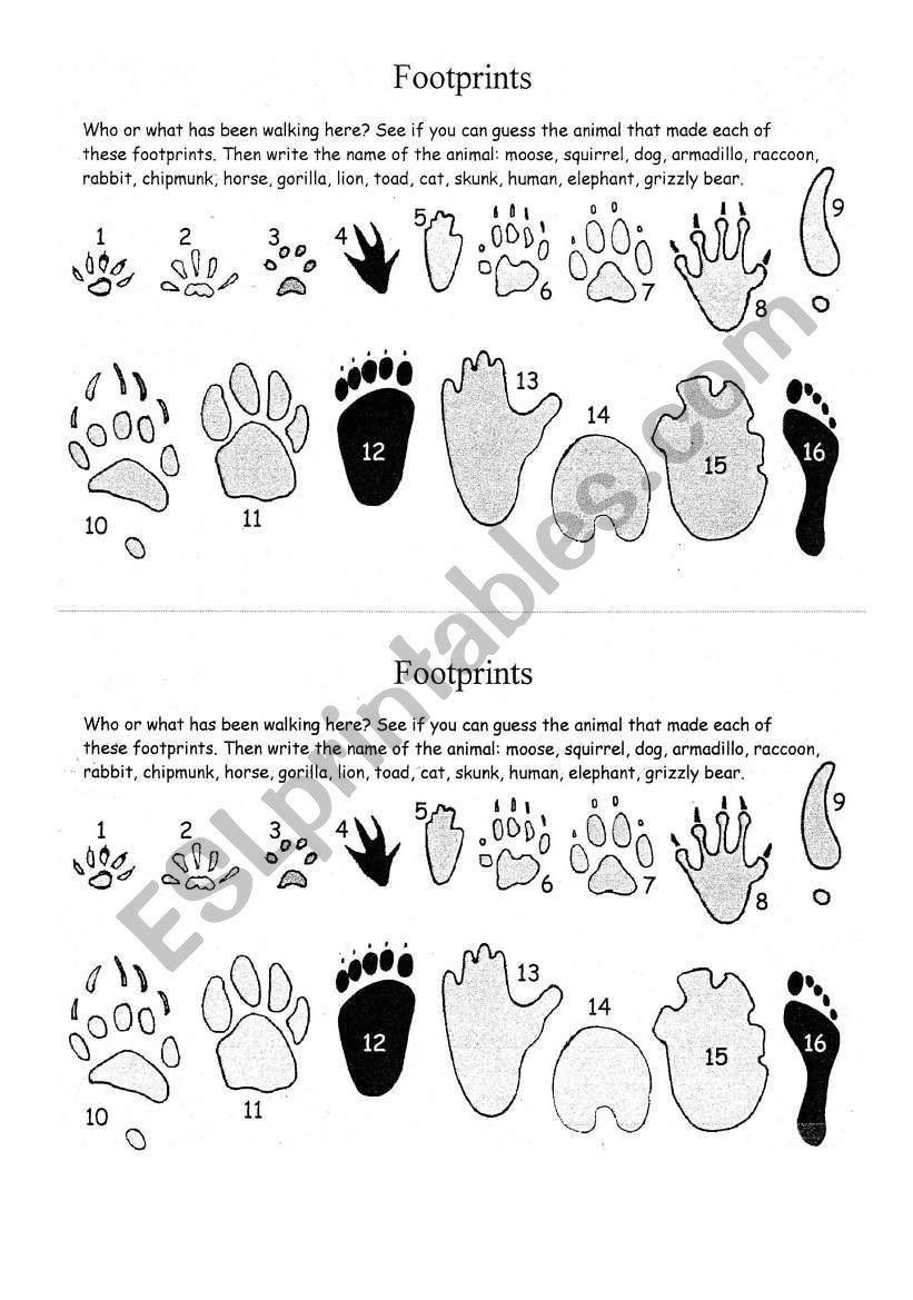 Footprints worksheet