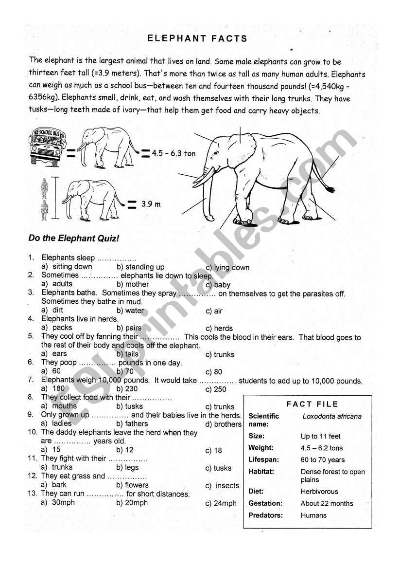 Do the elephant Quiz worksheet