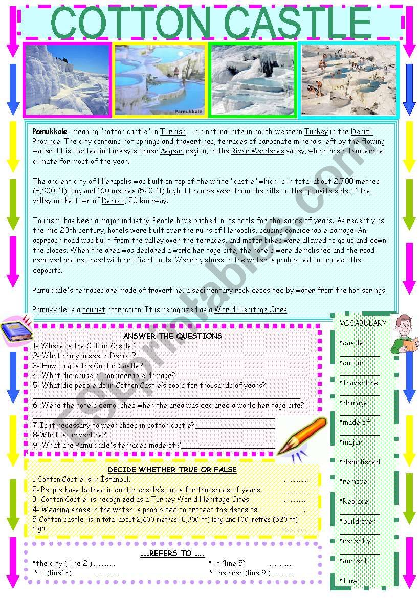 READING-COTTON CASTLE worksheet