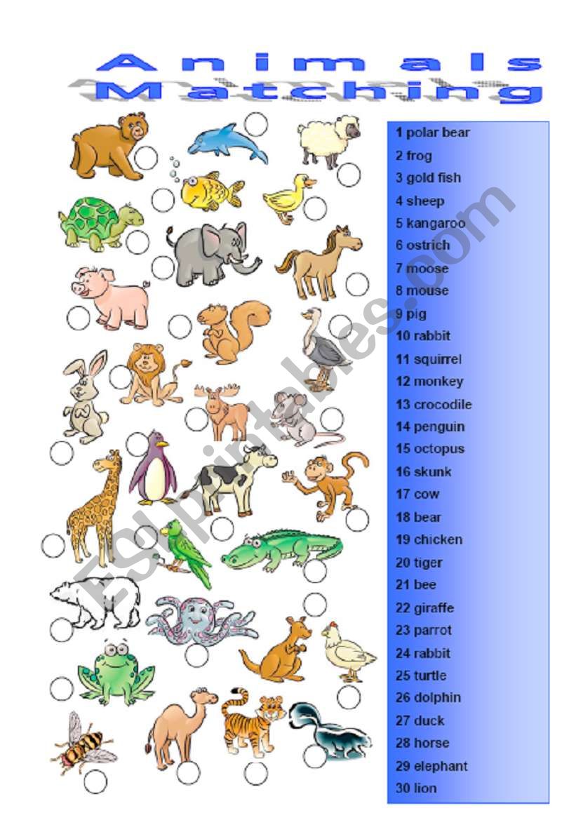 Animals 2/3 Matching exerice worksheet
