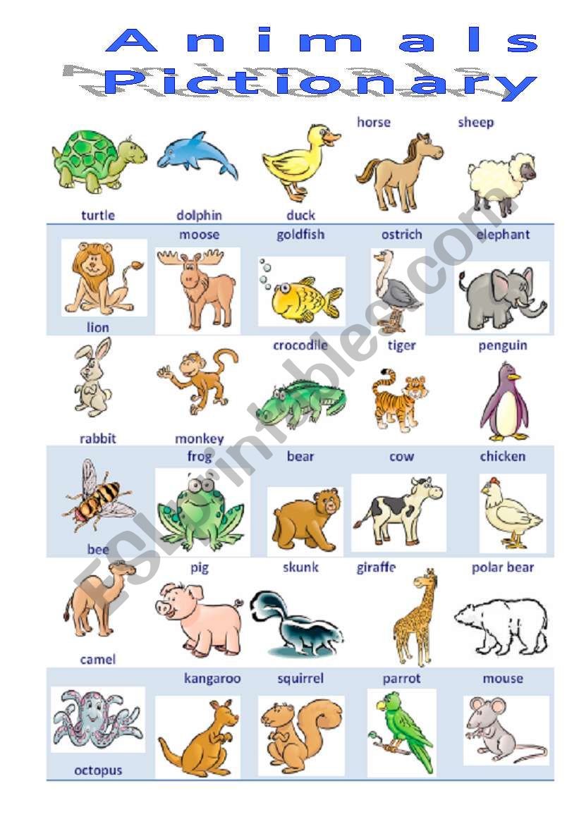 Animals 1/3 Pictionary worksheet