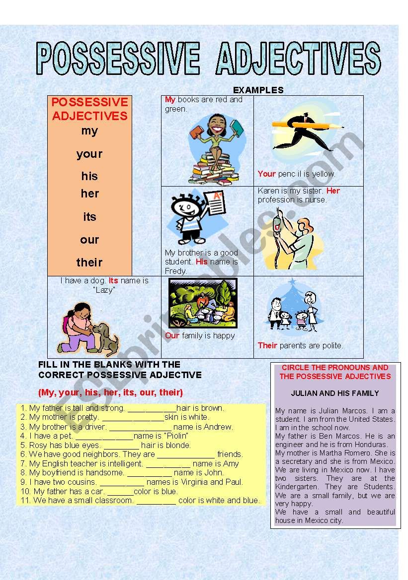 POSSESSIVE ADJECTIVES worksheet