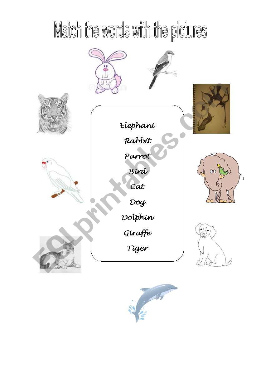 animals worksheet