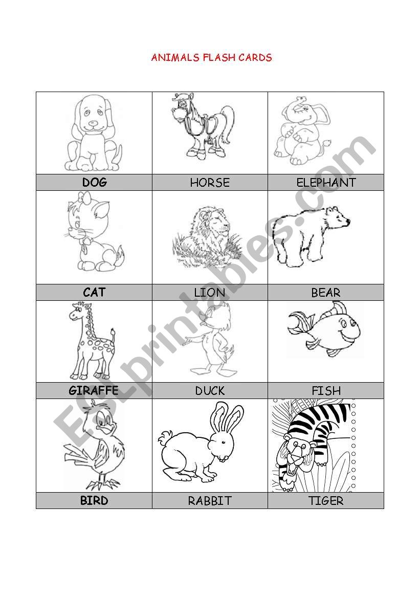 ANIMALS   worksheet