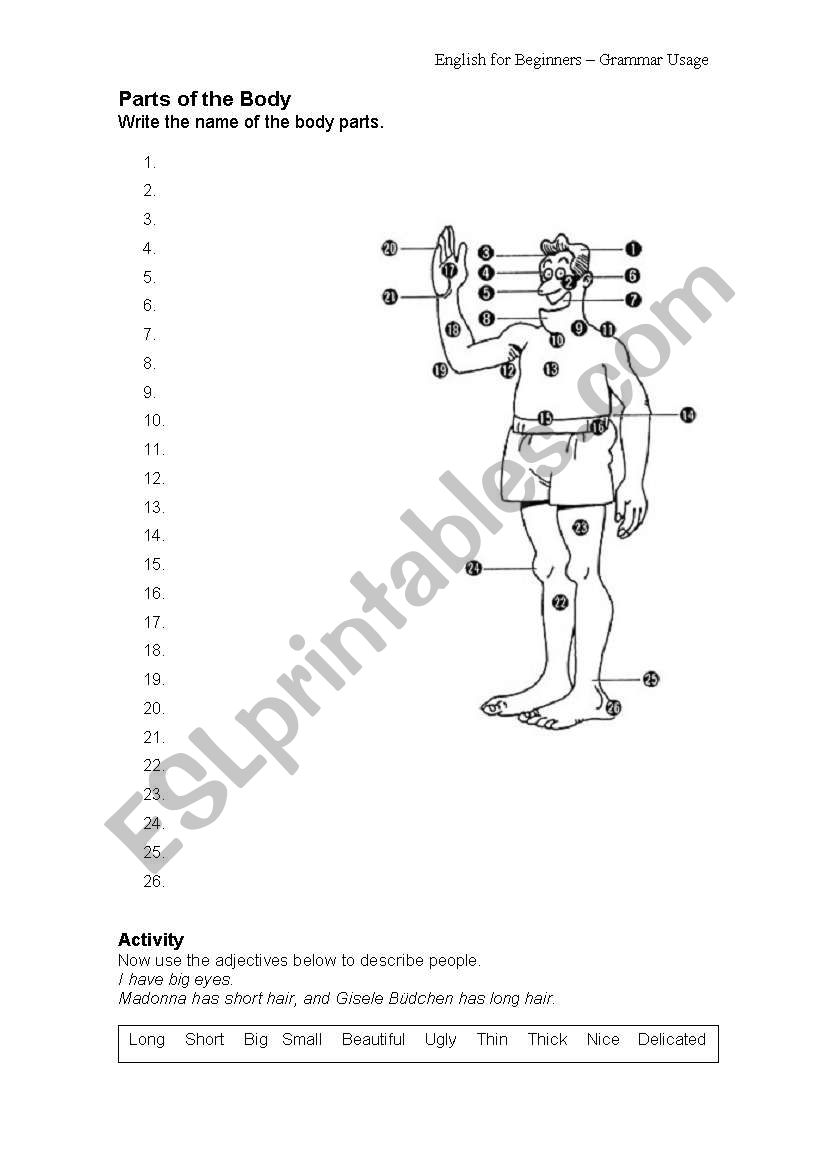 Parts of The Body worksheet