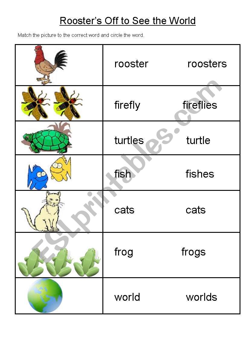 Plurals - Rooster´s Off to See the World