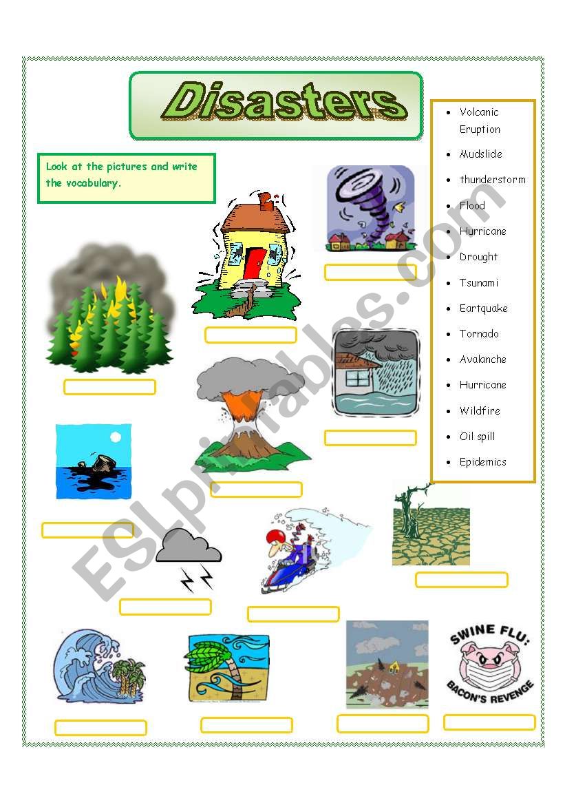 Disasters worksheet