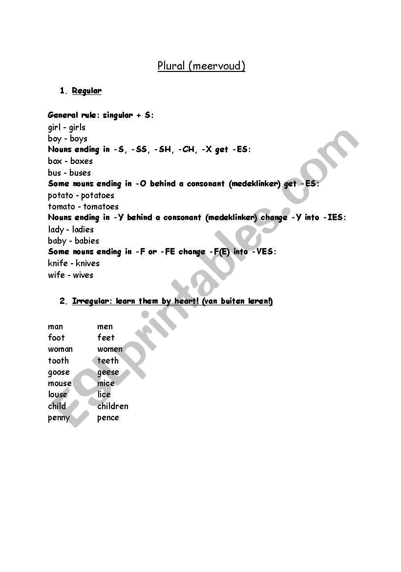 Plural worksheet