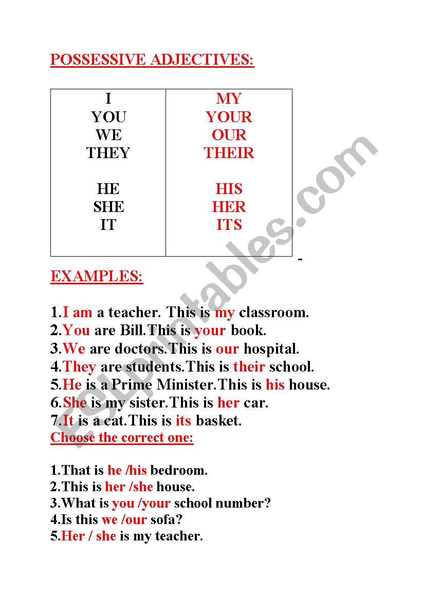 POSSESSIVE ADJECTIVES worksheet