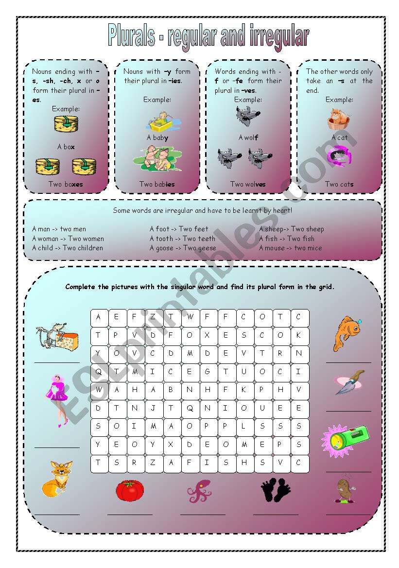 plurals - regular and irregular