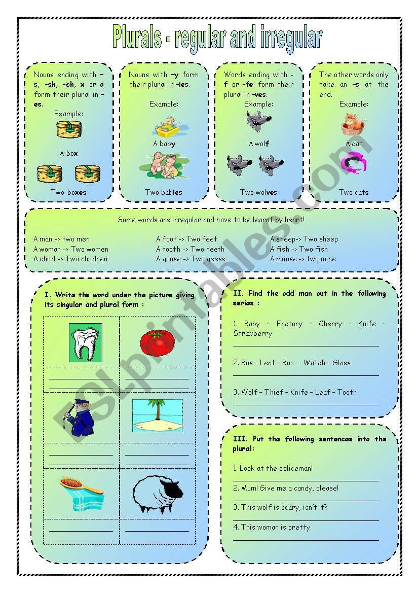 plurals - regular and irregular