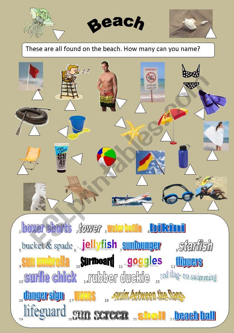 Beach Vocabulary for Elementary to Intermediate