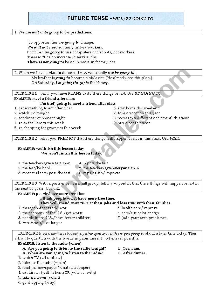 WILL AND GOING TO EXPLANATION worksheet