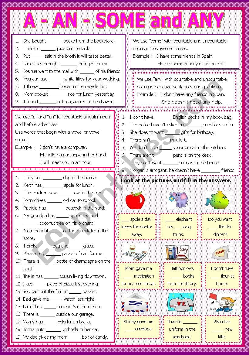 A - An - some - Any worksheet