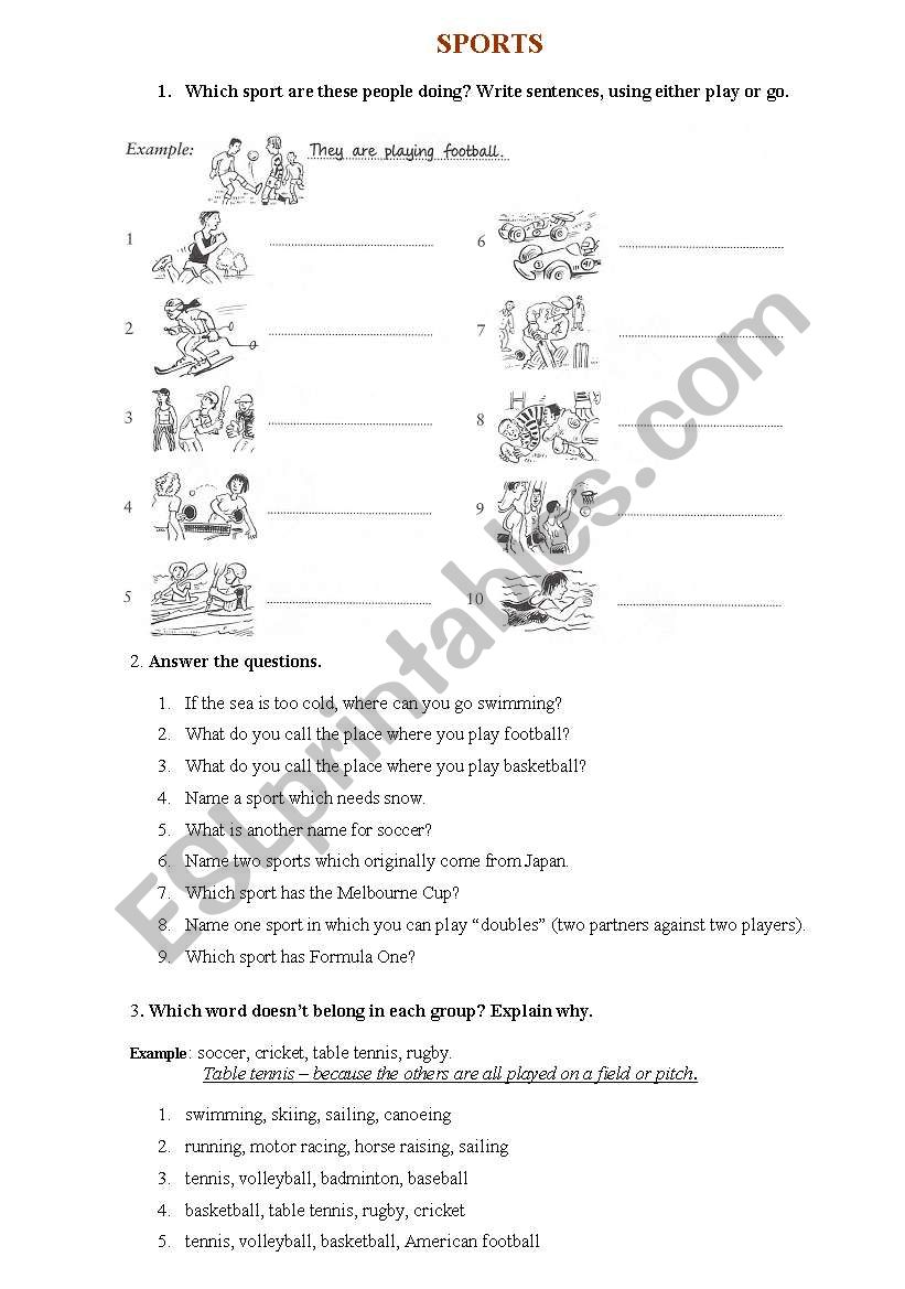 Sports worksheet