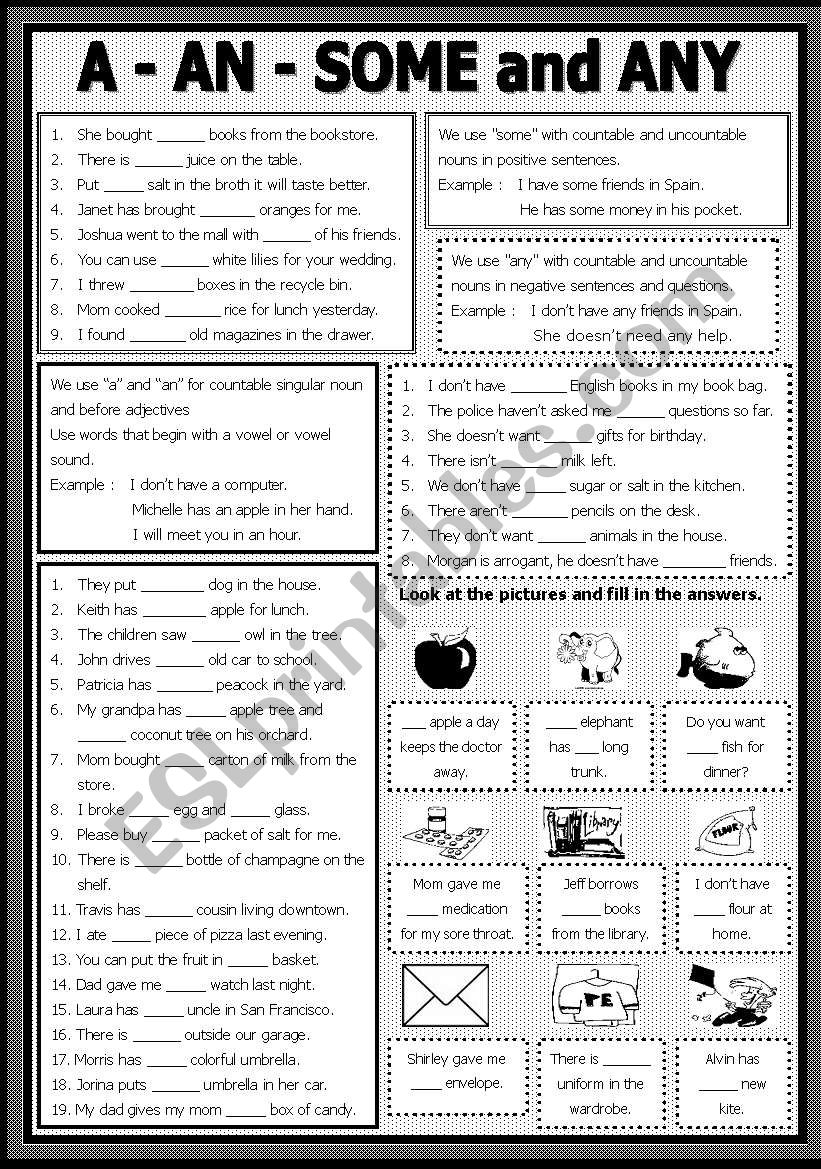 A - An - Some and Any worksheet