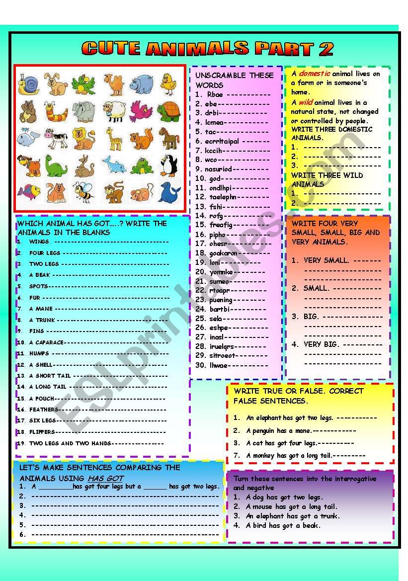 cute animals part 2 worksheet