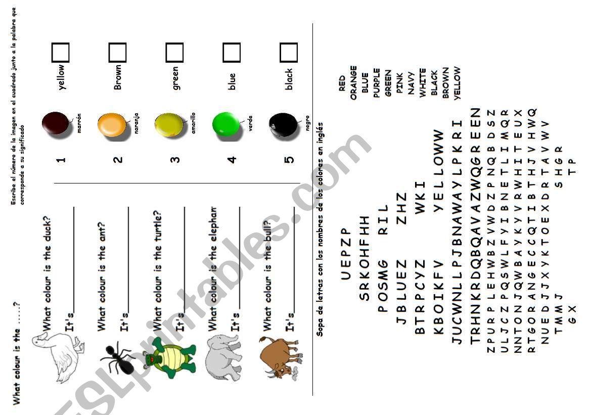 Clothes worksheet