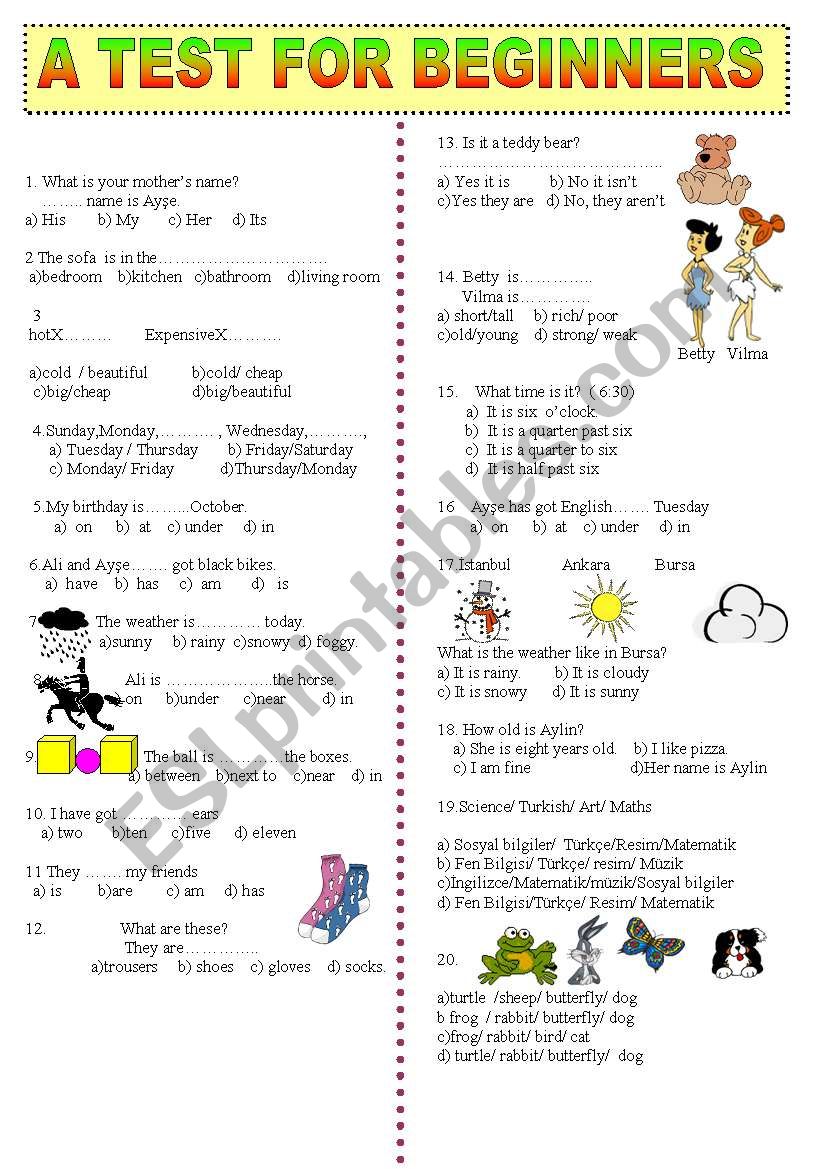 A TEST FOR BEGINNERS worksheet