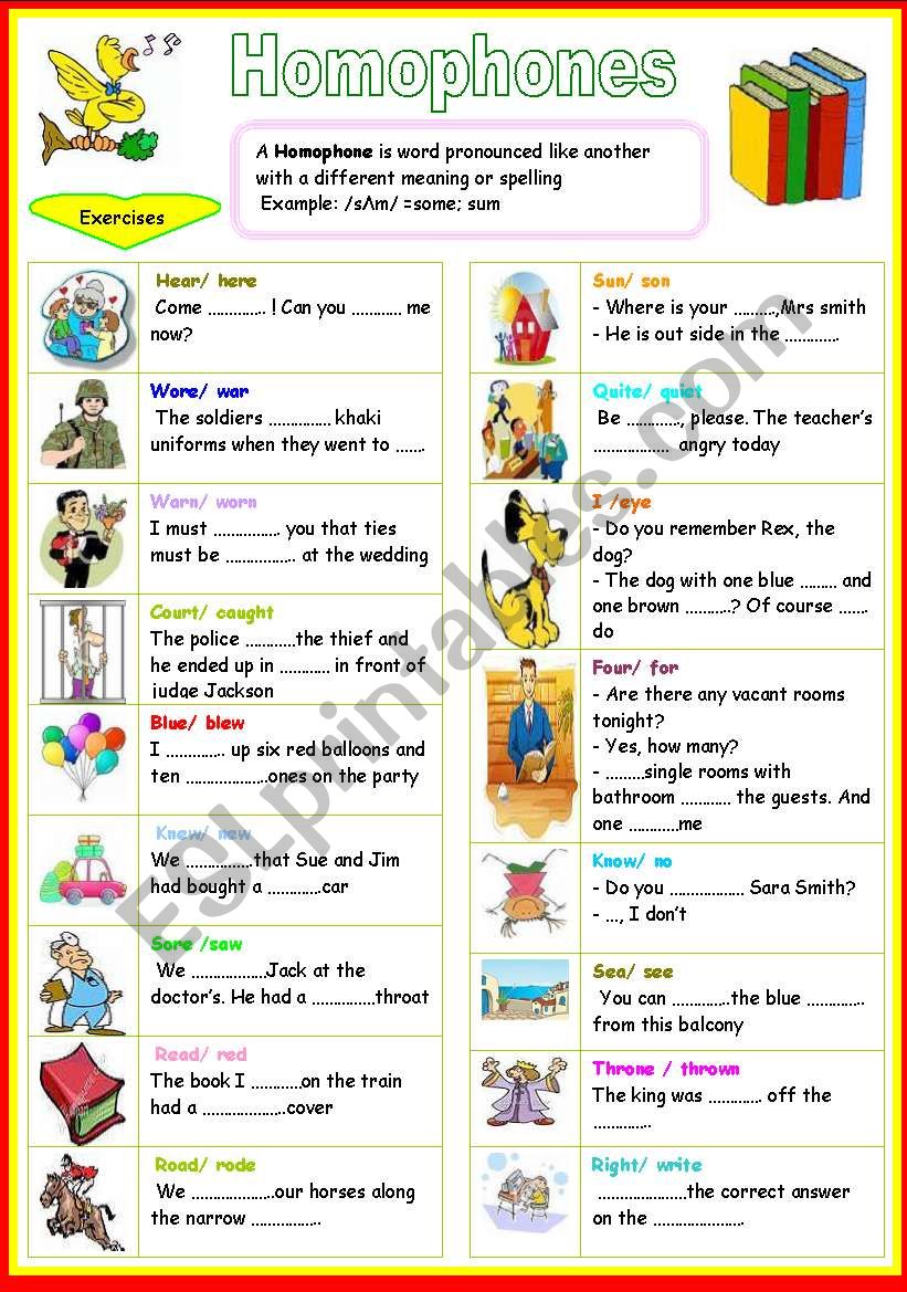 homophones worksheet