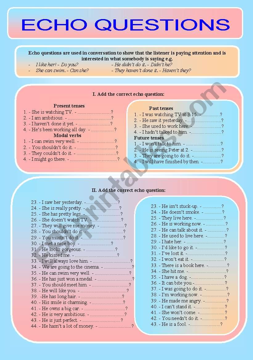 Echo questions - exercises (B/W, editable, key)