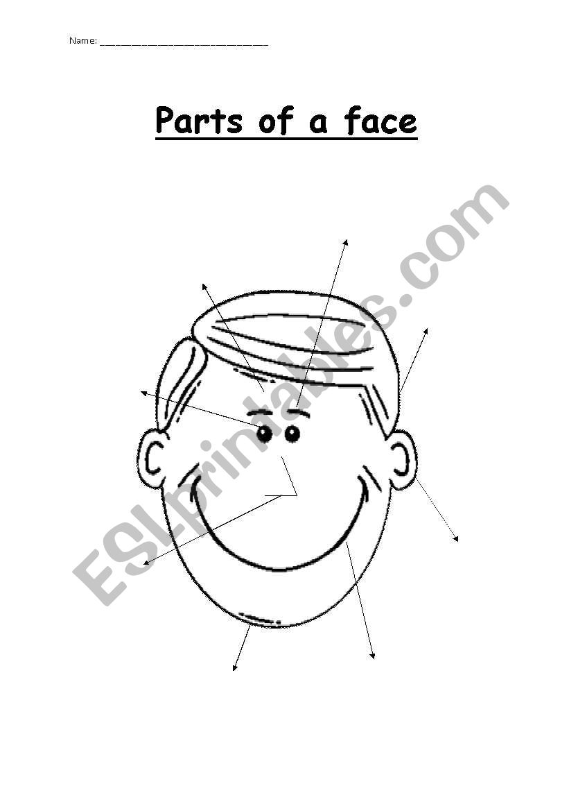 Labelling parts of a face (two pages)
