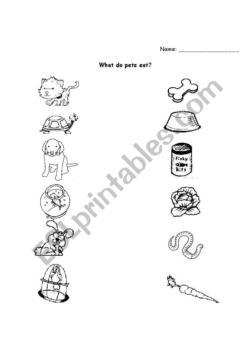 Pets! worksheet