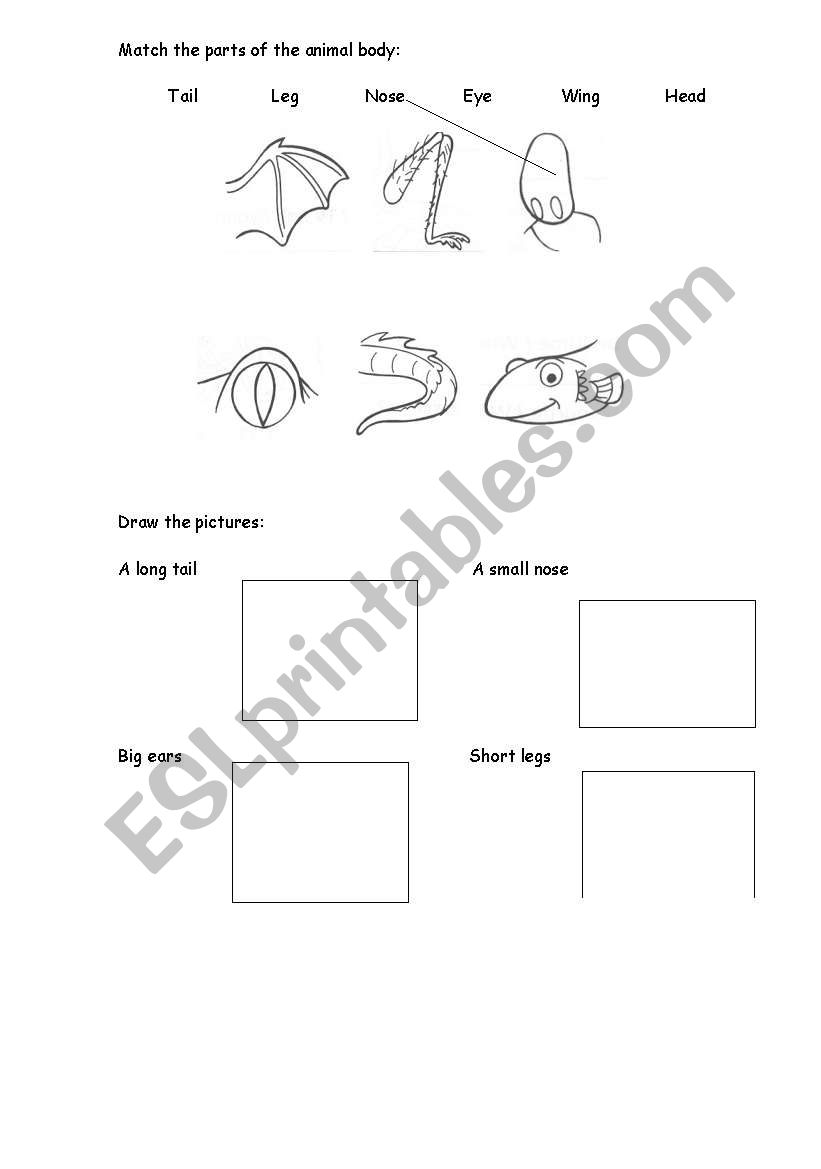 Match the parts of the animal body