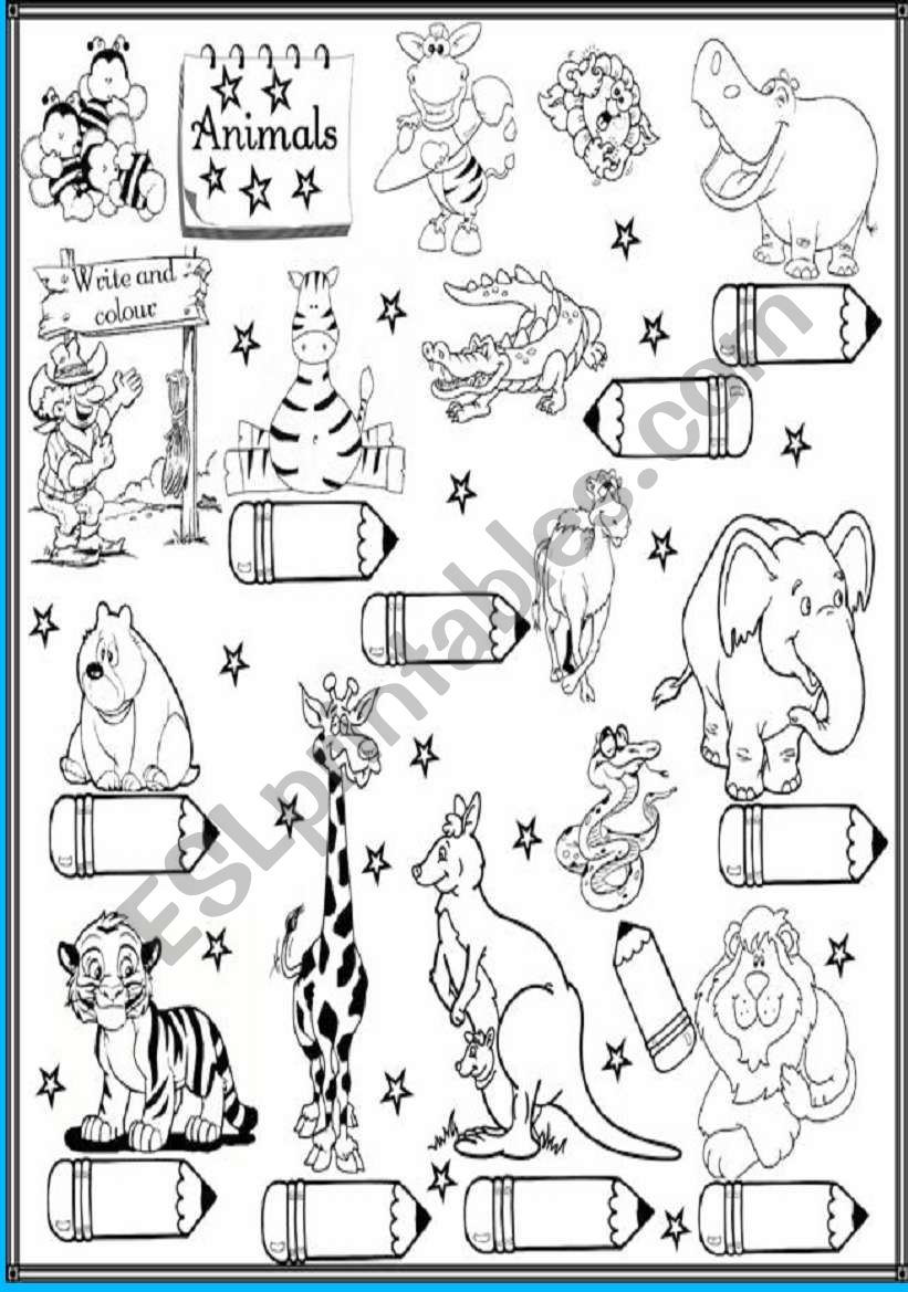 animals worksheet