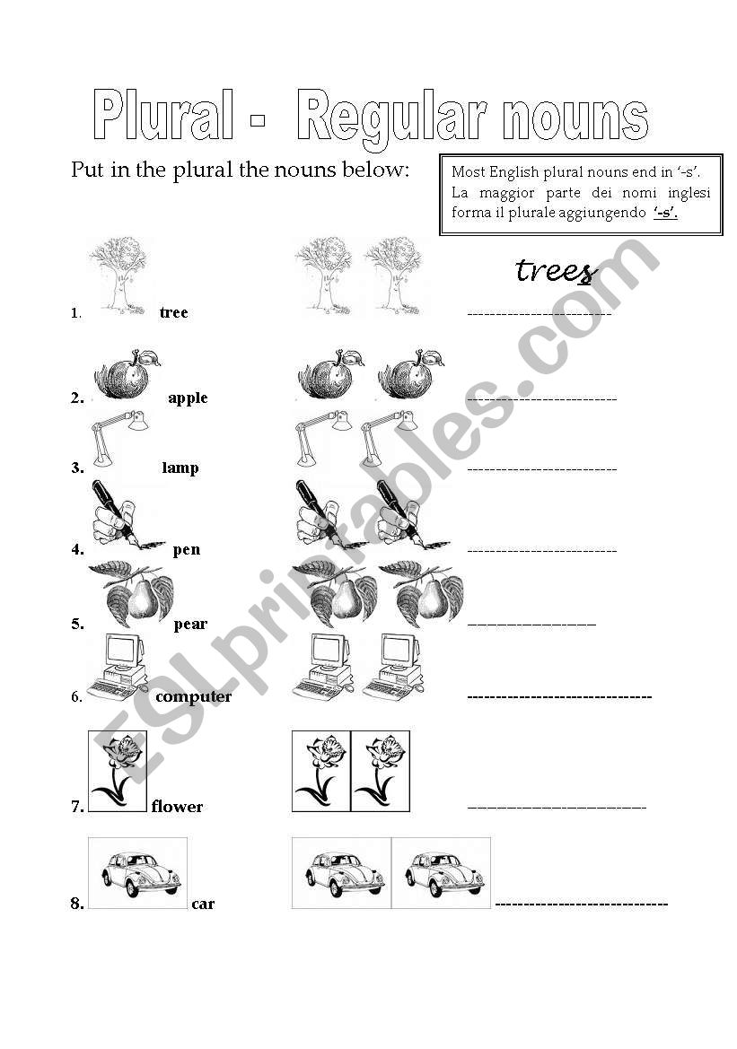 regula plural nouns worksheet