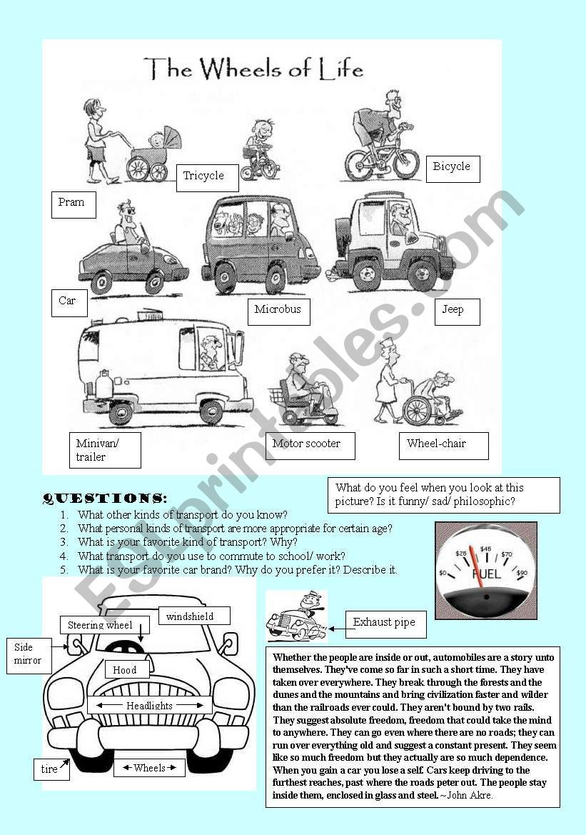 The Wheels of Life worksheet