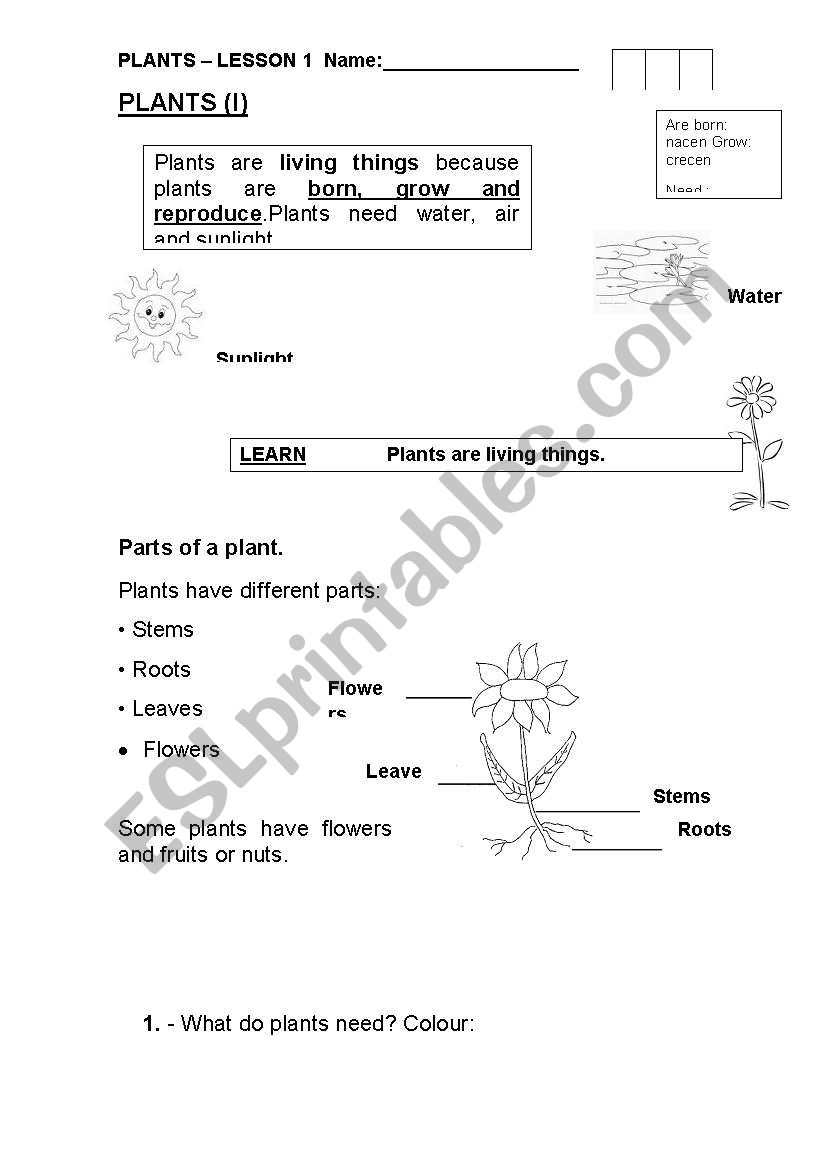 The plants lover worksheet