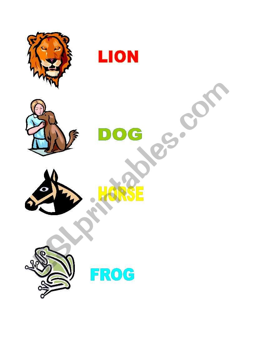 animals worksheet