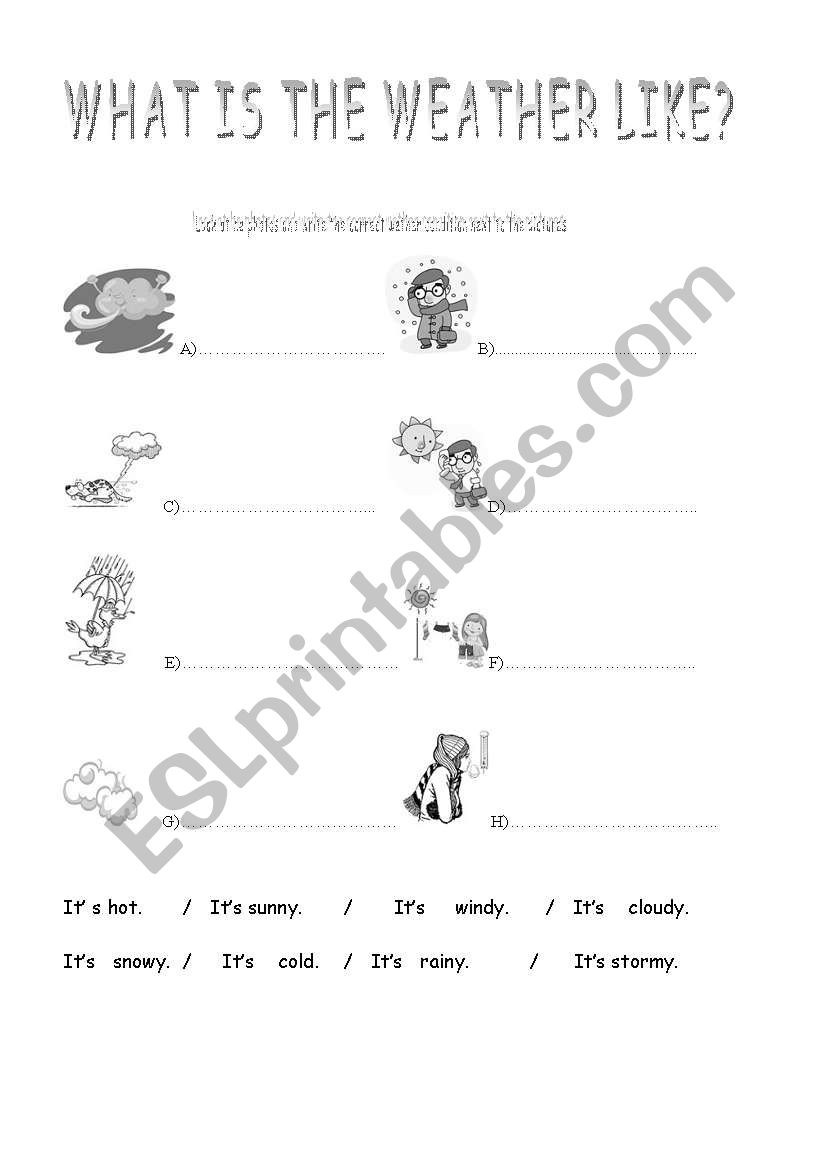 weather condition worksheet