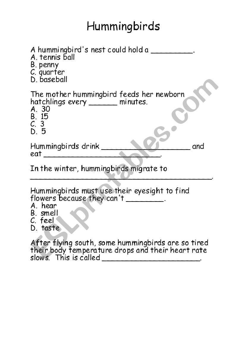 hummingbirds worksheet