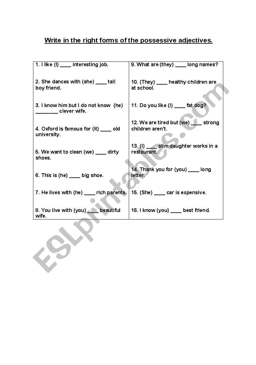 Possessive adjectives worksheet