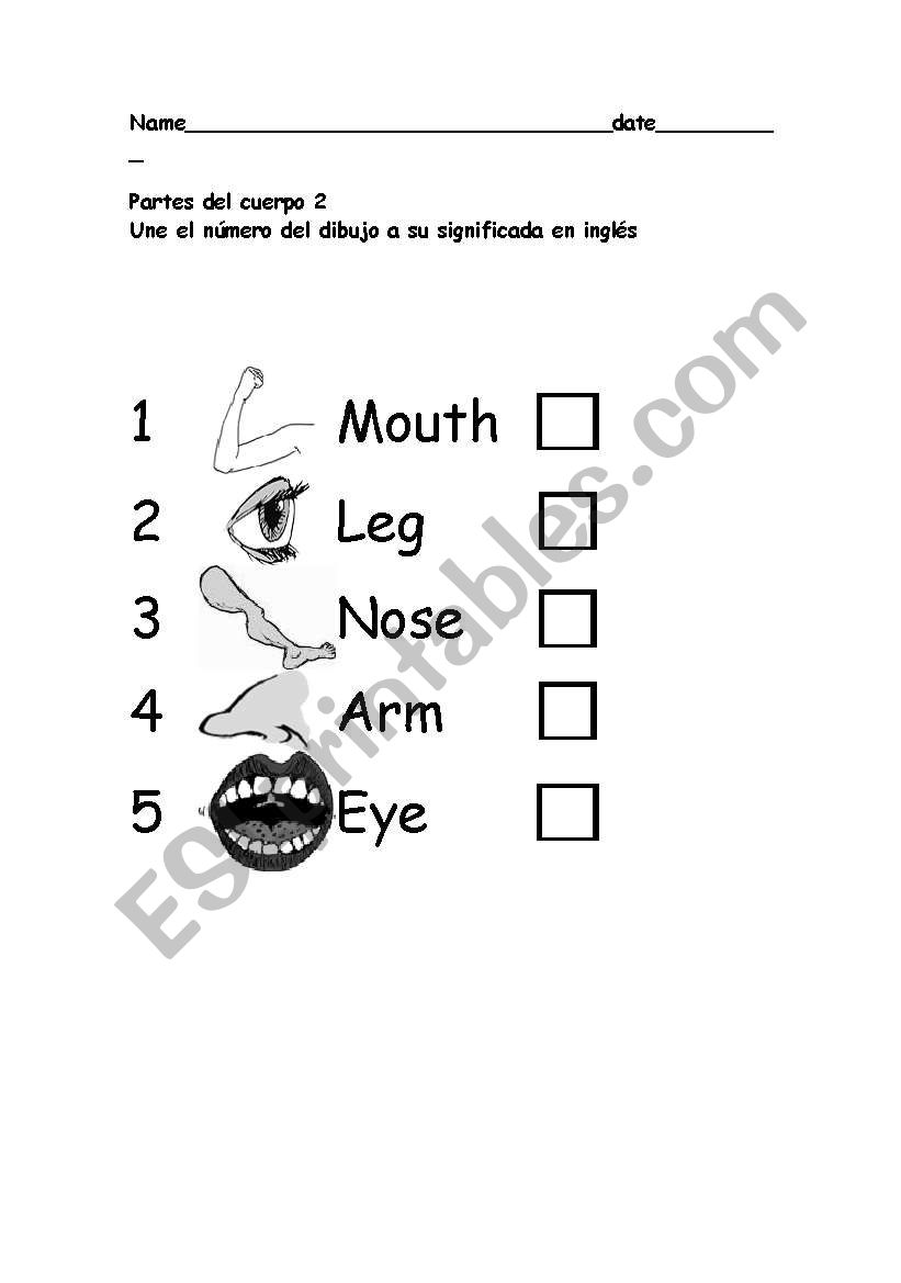 Parts of the body worksheet