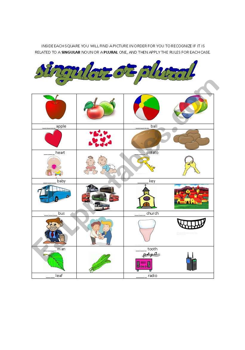 Singular and plural nouns worksheet