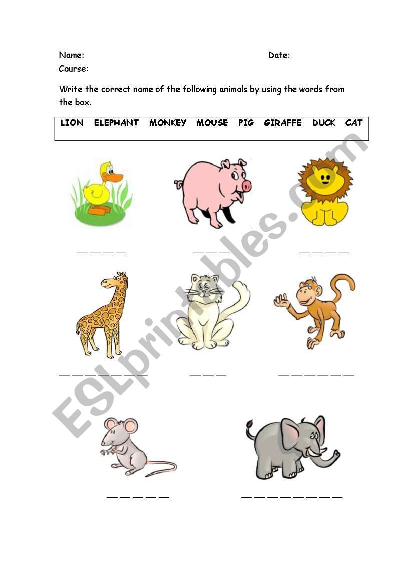 Animals Vocabulary worksheet