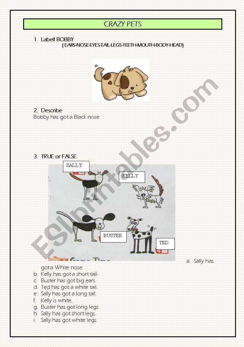 CRAZY PETS worksheet