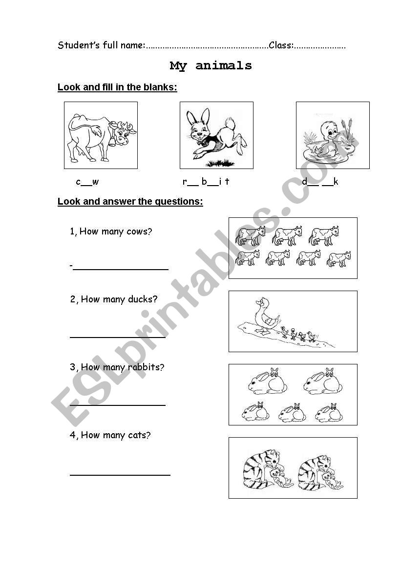 My animal worksheet