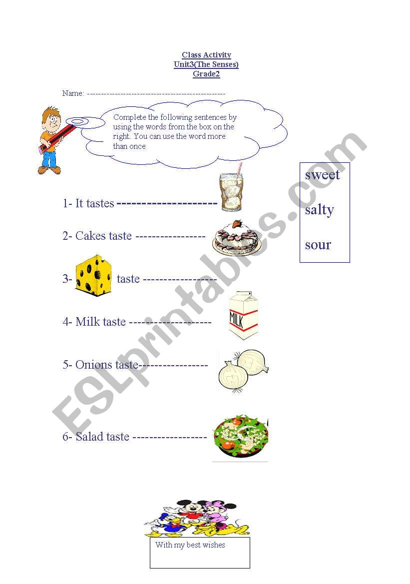 the senses worksheet