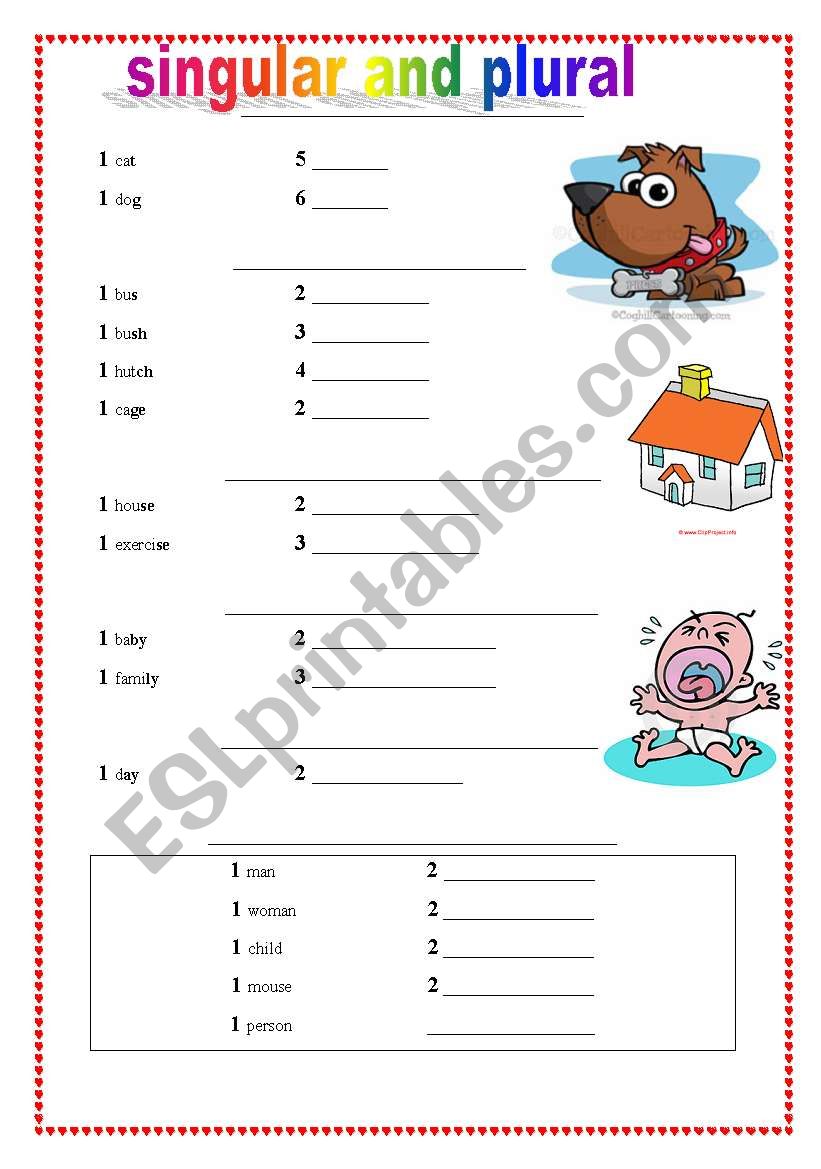 singular and plural worksheet