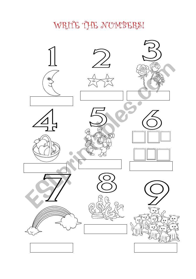 NUMBERS worksheet