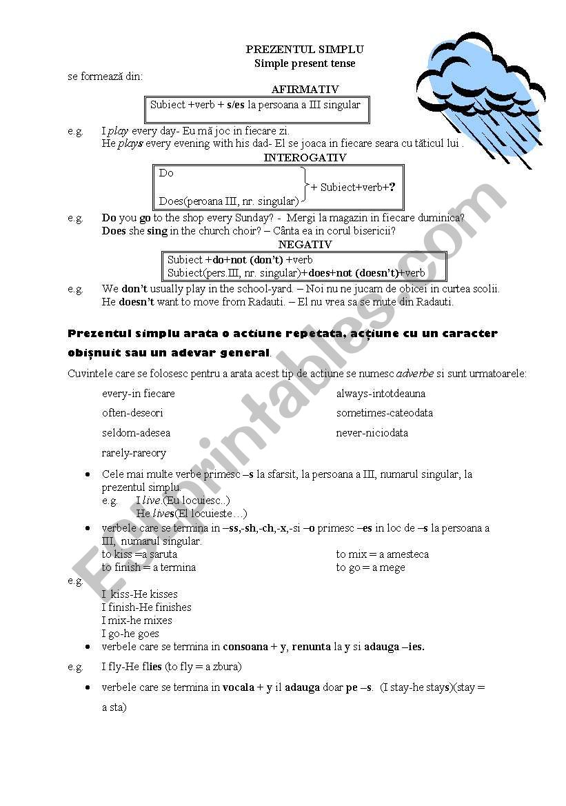 Present simple tense  forms and examples