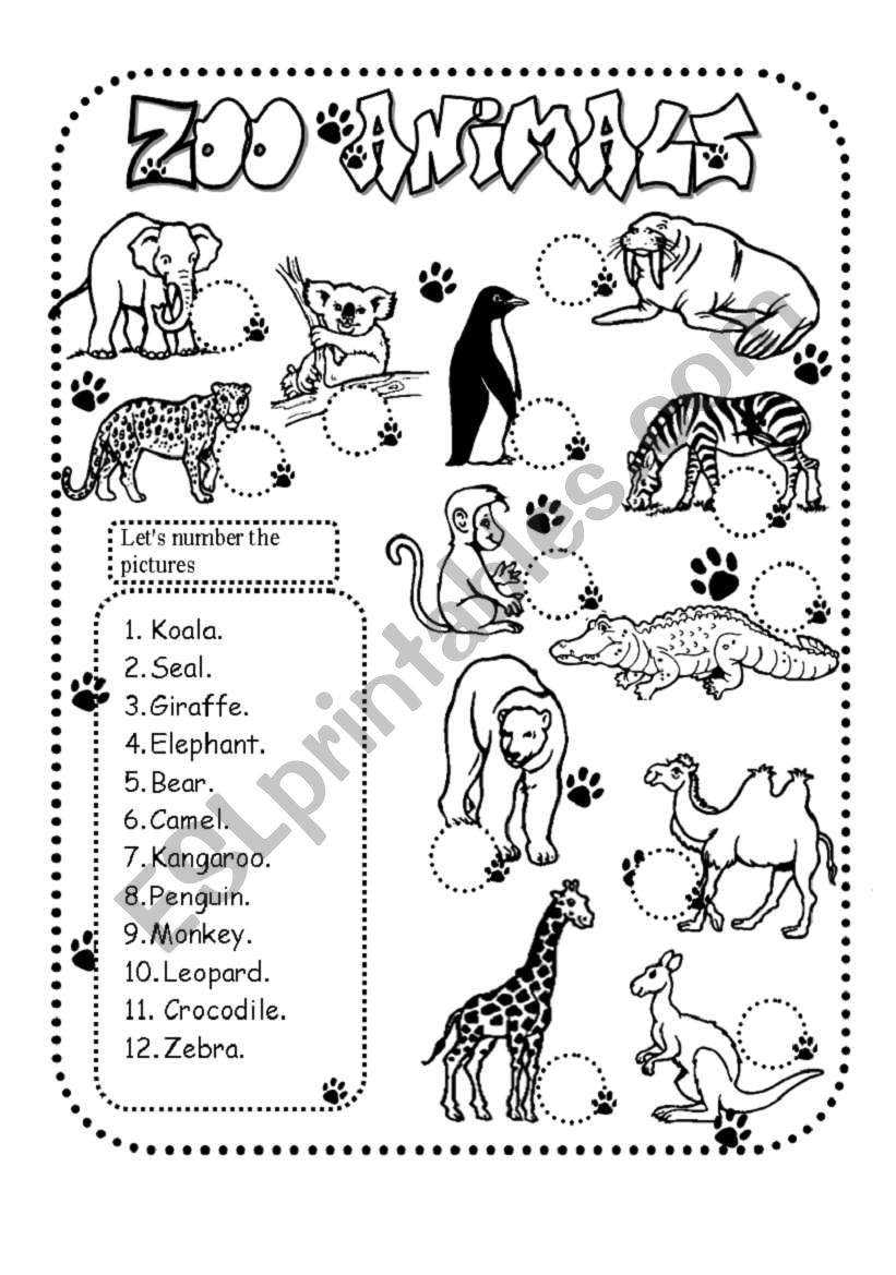 zoo animals  worksheet