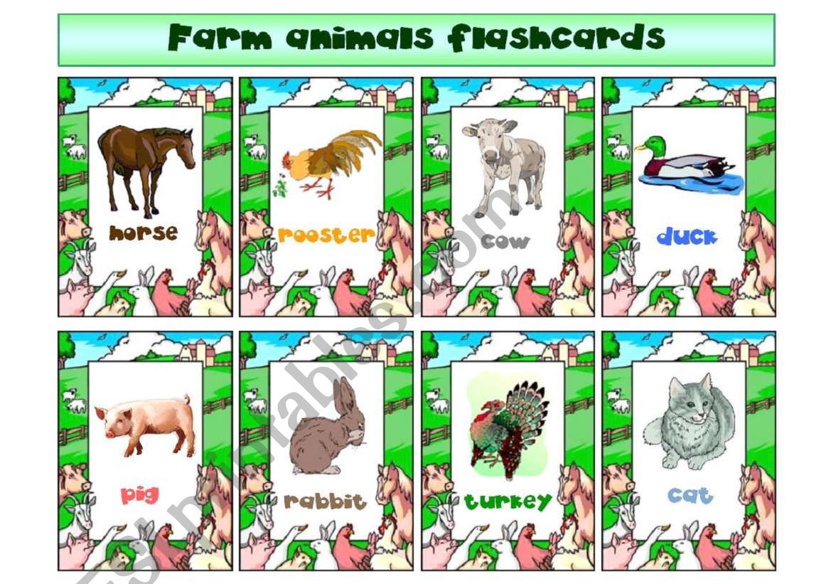 Farm animals flashcards worksheet